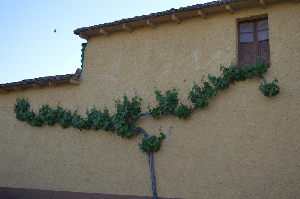Casa Rural Los Llaganos Villaturiel ภายนอก รูปภาพ